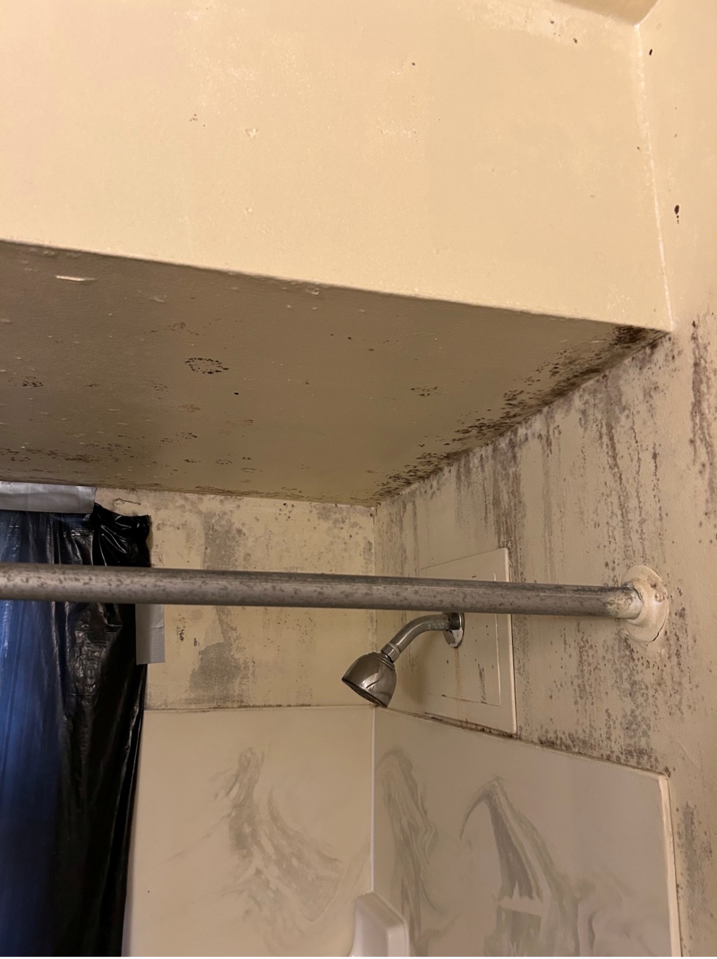 mold-003