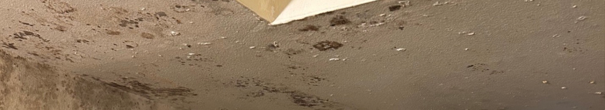 mold-header-001